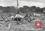 Image of C-47 Skytrain aircraft Burma, 1943, second 11 stock footage video 65675061563