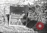 Image of C-47 Skytrain aircraft Burma, 1943, second 29 stock footage video 65675061563