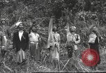 Image of C-47 Skytrain aircraft Burma, 1943, second 41 stock footage video 65675061563