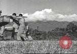 Image of Chinese soldiers Burma, 1943, second 6 stock footage video 65675061564