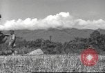 Image of Chinese soldiers Burma, 1943, second 7 stock footage video 65675061564
