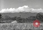Image of Chinese soldiers Burma, 1943, second 8 stock footage video 65675061564