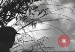 Image of Chinese soldiers Burma, 1943, second 41 stock footage video 65675061564