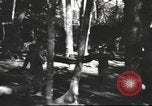 Image of Burmese nurses Burma, 1943, second 23 stock footage video 65675061567