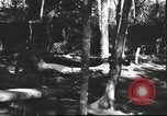 Image of Burmese nurses Burma, 1943, second 24 stock footage video 65675061567
