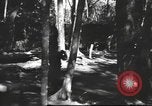 Image of Burmese nurses Burma, 1943, second 25 stock footage video 65675061567