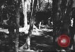 Image of Burmese nurses Burma, 1943, second 26 stock footage video 65675061567