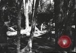 Image of Burmese nurses Burma, 1943, second 27 stock footage video 65675061567