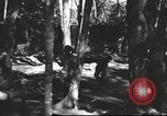 Image of Burmese nurses Burma, 1943, second 29 stock footage video 65675061567