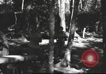 Image of Burmese nurses Burma, 1943, second 31 stock footage video 65675061567
