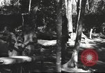 Image of Burmese nurses Burma, 1943, second 32 stock footage video 65675061567