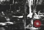 Image of Burmese nurses Burma, 1943, second 35 stock footage video 65675061567