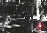 Image of Burmese nurses Burma, 1943, second 36 stock footage video 65675061567