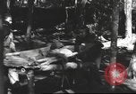 Image of Burmese nurses Burma, 1943, second 41 stock footage video 65675061567