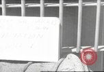 Standbild Merrill's Marauders Assam Indien, 1944, aus Sekunde 1 historischem Filmmaterial Videoclip 65675061571