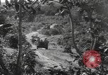 Standbild chinesische Truppen Indien, 1943, aus Sekunde 1 historischem Filmmaterial Videoclip 65675061576