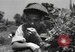 Image of Chinese troops India, 1943, second 20 stock footage video 65675061577