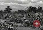 Image of Chinese troops India, 1943, second 43 stock footage video 65675061577