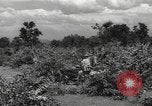 Image of Chinese troops India, 1943, second 44 stock footage video 65675061577