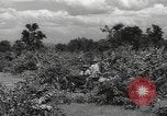 Image of Chinese troops India, 1943, second 45 stock footage video 65675061577