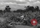 Image of Chinese troops India, 1943, second 46 stock footage video 65675061577