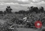Image of Chinese troops India, 1943, second 47 stock footage video 65675061577