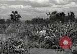 Image of Chinese troops India, 1943, second 48 stock footage video 65675061577