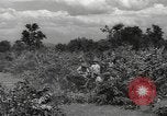 Image of Chinese troops India, 1943, second 49 stock footage video 65675061577
