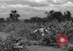 Image of Chinese troops India, 1943, second 50 stock footage video 65675061577