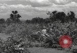 Image of Chinese troops India, 1943, second 51 stock footage video 65675061577