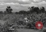 Image of Chinese troops India, 1943, second 52 stock footage video 65675061577