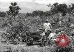 Image of Chinese troops India, 1943, second 53 stock footage video 65675061577