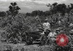 Image of Chinese troops India, 1943, second 54 stock footage video 65675061577