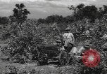Image of Chinese troops India, 1943, second 55 stock footage video 65675061577