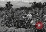Image of Chinese troops India, 1943, second 56 stock footage video 65675061577