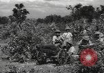Image of Chinese troops India, 1943, second 57 stock footage video 65675061577