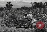 Image of Chinese troops India, 1943, second 58 stock footage video 65675061577