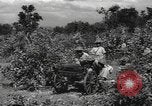 Image of Chinese troops India, 1943, second 59 stock footage video 65675061577