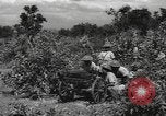 Image of Chinese troops India, 1943, second 60 stock footage video 65675061577