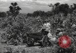 Image of Chinese troops India, 1943, second 61 stock footage video 65675061577