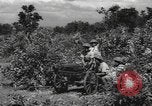 Image of Chinese troops India, 1943, second 62 stock footage video 65675061577