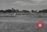 Standbild chinesische Truppen Indien, 1943, aus Sekunde 1 historischem Filmmaterial Videoclip 65675061578