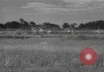 Standbild chinesische Truppen Indien, 1943, aus Sekunde 4 historischem Filmmaterial Videoclip 65675061578