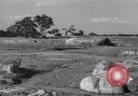 Standbild chinesische Truppen Indien, 1943, aus Sekunde 44 historischem Filmmaterial Videoclip 65675061578
