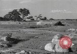Standbild chinesische Truppen Indien, 1943, aus Sekunde 45 historischem Filmmaterial Videoclip 65675061578