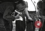 Image of Merill's Marauders Myitkyina Burma, 1944, second 15 stock footage video 65675061581