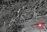Image of Chinese engineers Burma, 1944, second 46 stock footage video 65675061586