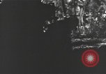 Image of Chinese soldier Burma, 1944, second 17 stock footage video 65675061587