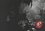 Image of Chinese soldier Burma, 1944, second 49 stock footage video 65675061587