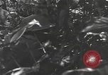 Image of Chinese soldier Burma, 1944, second 58 stock footage video 65675061587